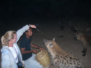 harar-feeding-hyenas-10